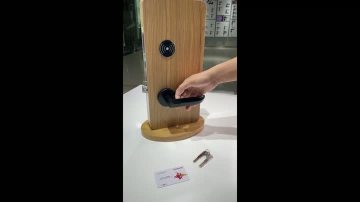 Furniture door locks