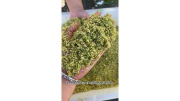 Lemongrass crushing machine