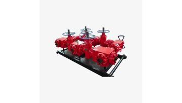 Test manifold