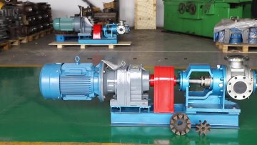 High viscosity rotor pump1