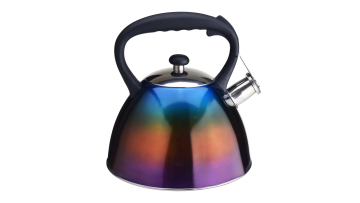 FH-456 Blue Gradient coating water kettle