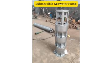 Submersible Sea Water Pump