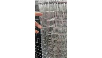 malla electrosoldada galvanized gallinero hot dipped electro galvanized Welded Wire Mesh Chicken wire Poultry nettings fences1