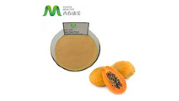 Organic Green Papaya Fruit Extract Powder For Skin Product1