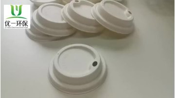 90mmbagasse cup lid