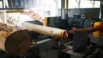 Single board rotary cutting machine