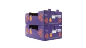 Hot sale corrugated carton customized printing high quality fruit packaging box1