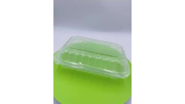 plastic  lunch box