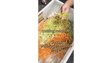 Commercial vegetable shredding machine