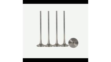 3088393 Exhaust Valve for Engine