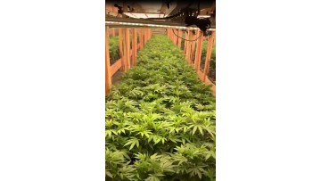 grow light greenhouse