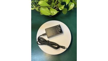 12V 5A 60W Mains Adapter