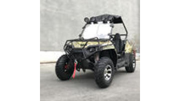 2022 New Powerful Electric UTV 3000W1