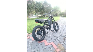 2022 new fat ebike