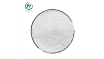 NewGreen Factory: Leading Supplier of High-Quality Bulk Powder Sweetener - Polydextrose1