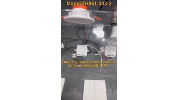 FH861-043-2,Lighting remote control