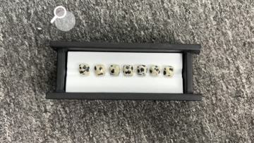 Dalmatian Jasper QF-0224