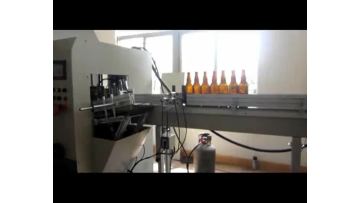 SC1524 beer bottle printing