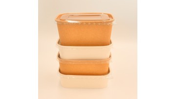 Kraft Paper Bento Box