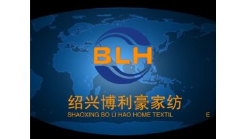 博利豪宣传片100M以内（English）.mp4