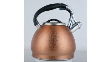 Stainless steel ice flower coating Whistle Kettle FH-578
