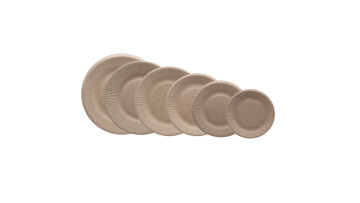 Disposable Plate 