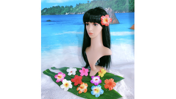 KN-hf06 hibiscus