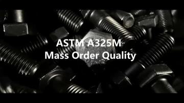 ASTM A325M A490M Structural Bolting Assemblies 