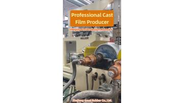 Professional Cast Film Producer