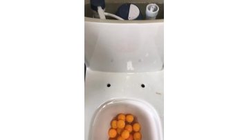 siphonic one piece toilet flushing