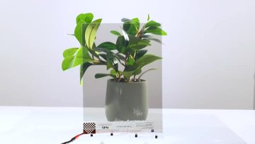 White Switchable Film