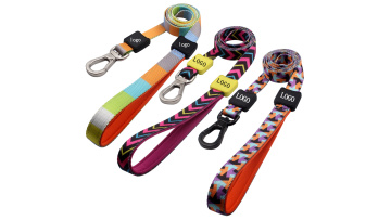 Colorful Dog Leash