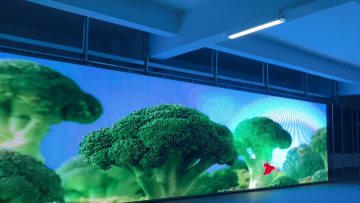 LED Transparent  Display Screen P3.9-7.8mm