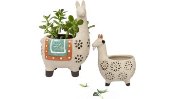 Plant Pot with Saucer