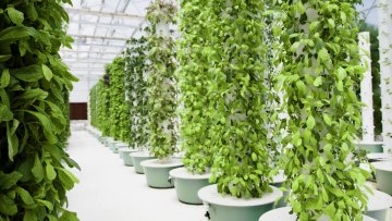 2022 New Agriculture Garden House Vertical Farming Hydroponics Equipment Grow Tower1