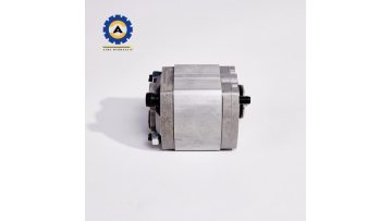 Hydraulic gear pump