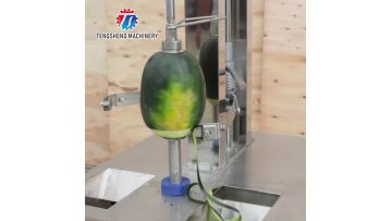 TS-PF80 Automatic Pumpkin Peeling and Wedging Machine