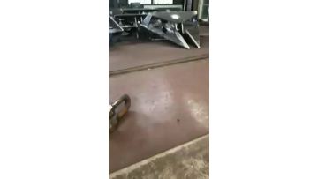 Marine Hall Anchor