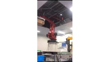 robot palletizing-