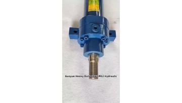 CDH1 MS2 80 45-800 Hydraulic Cylinder