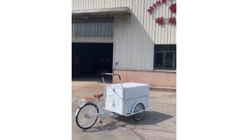 Ice Cream Trucks For Sale Trailer Mobile Food Electric Three-Wheel Refrigerator Generator's Centerpiece  Refrigerator Freezer1