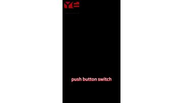 Push Button Switch  demonstrate