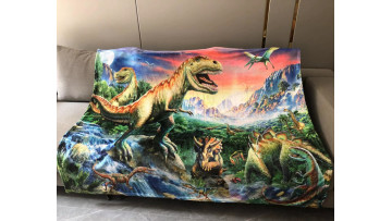 dinosaur blanket 