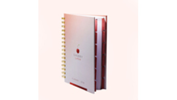 Factory Print Full Color Custom Logo 2022-23 Private Label Journals and Planners1