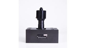 DVP25 throttle valve