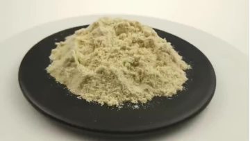 Freeze dried durian powder