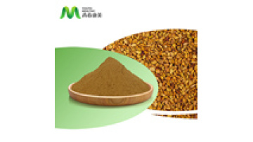 Youth Supply 100% Natural Fenugreek Seed Extract Powder Saponin1