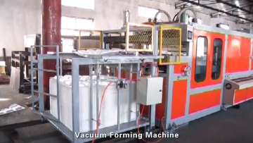 hydraulic cutting machine for making polystyrene foam meal container food box thermocol plate absorbent dish egg tray PS plastic1