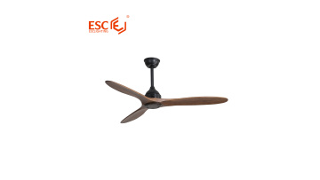 Smart ceiling fan 
