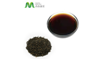 ISO Certified Manufacturer Wholesale Bakuchiol Extract1